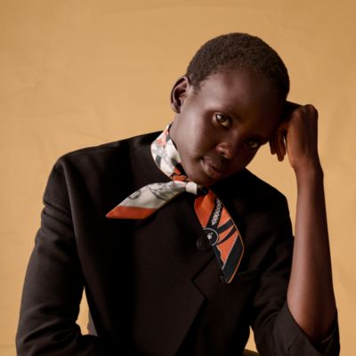 エルメス　雑誌掲載⭐︎新作　ツイリー 値下げ！新品未使用 エルメス ツイリー ブリッド・ア・ブロック